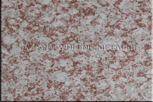 Pre-painted Galvalume Steel Coil Product